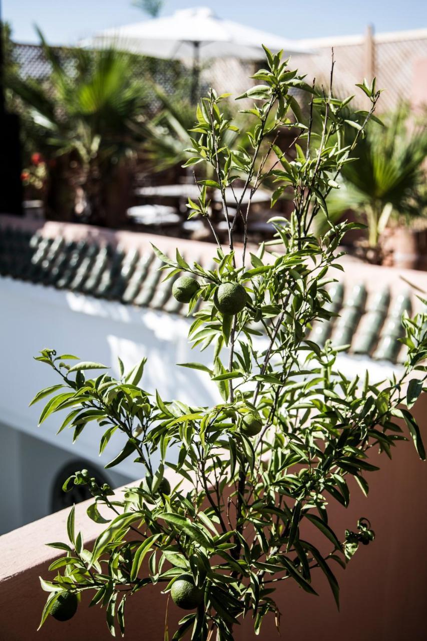 Riad Danka Marrakesh Exterior foto
